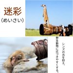 画像9: ニコン（Nikon）Z180-600 mm F5.6-6.3 VR 用 レンズカバー ニコンカメラ保護カバー 弾性構造 保護 防水 防塵 防震 アウトドア 野生動物撮影 屋外撮影 迷彩 送料無料 (9)